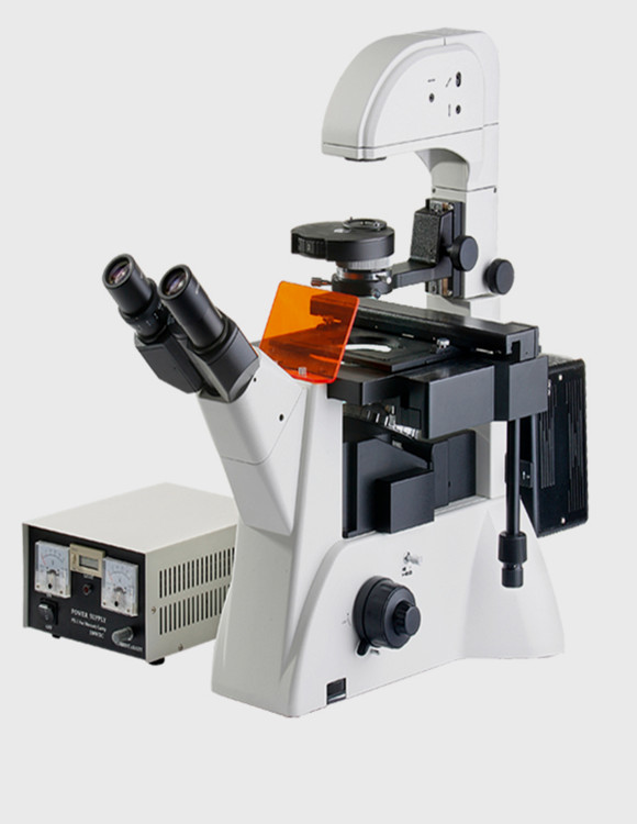 WMF-3650研究型倒置荧光显微镜